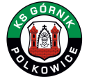 gornik_polkowice